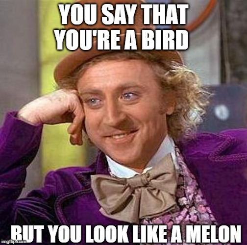 Creepy Condescending Wonka | YOU SAY THAT YOU'RE A BIRD; BUT YOU LOOK LIKE A MELON | image tagged in memes,creepy condescending wonka | made w/ Imgflip meme maker