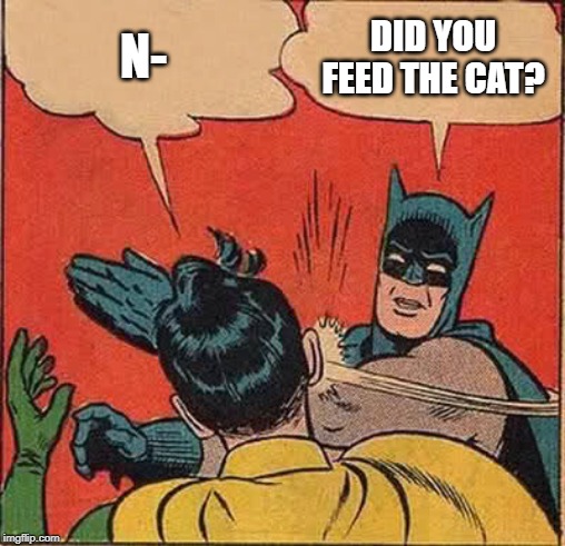 Batman Slapping Robin Meme | N-; DID YOU FEED THE CAT? | image tagged in memes,batman slapping robin | made w/ Imgflip meme maker