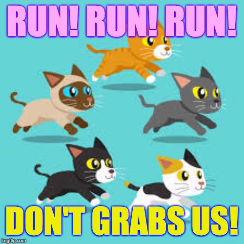 RUN! RUN! RUN! DON'T GRABS US! | made w/ Imgflip meme maker