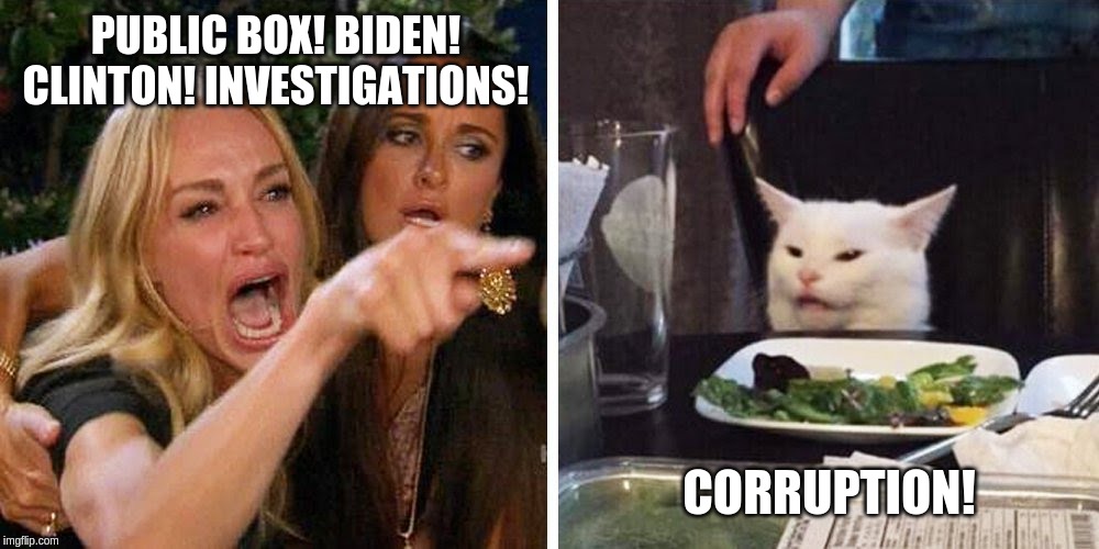 Smudge the cat | PUBLIC BOX! BIDEN! CLINTON! INVESTIGATIONS! CORRUPTION! | image tagged in smudge the cat | made w/ Imgflip meme maker