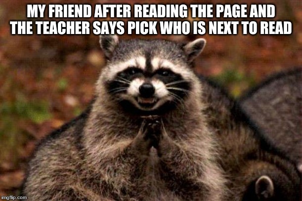 Evil Plotting Raccoon Meme | MY FRIEND AFTER READING THE PAGE AND THE TEACHER SAYS PICK WHO IS NEXT TO READ | image tagged in memes,evil plotting raccoon | made w/ Imgflip meme maker