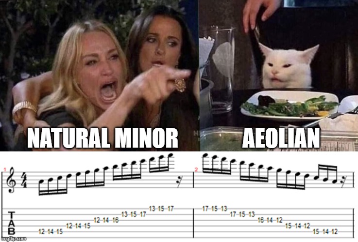 NATURAL MINOR               AEOLIAN | image tagged in woman yelling at cat | made w/ Imgflip meme maker