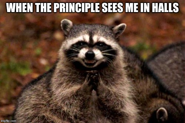Evil Plotting Raccoon Meme | WHEN THE PRINCIPAL SEES ME IN HALLS | image tagged in memes,evil plotting raccoon | made w/ Imgflip meme maker