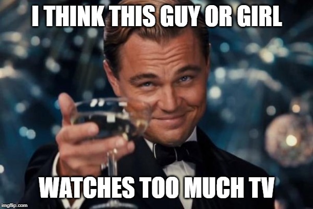 Leonardo Dicaprio Cheers Meme | I THINK THIS GUY OR GIRL WATCHES TOO MUCH TV | image tagged in memes,leonardo dicaprio cheers | made w/ Imgflip meme maker
