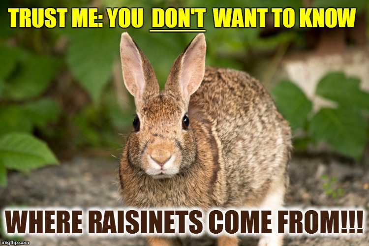 TRUST ME: YOU  DON'T  WANT TO KNOW WHERE RAISINETS COME FROM!!! ____ | made w/ Imgflip meme maker