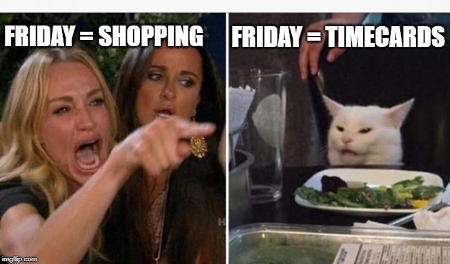 Drunk lady and cat | FRIDAY = TIMECARDS; FRIDAY = SHOPPING | image tagged in drunk lady and cat | made w/ Imgflip meme maker