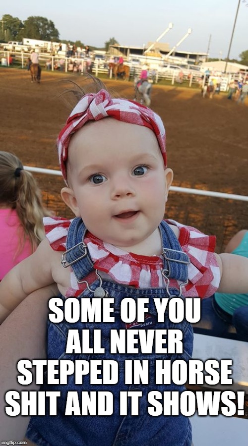 Country baby | SOME OF YOU ALL NEVER STEPPED IN HORSE SHIT AND IT SHOWS! | image tagged in horses,baby | made w/ Imgflip meme maker