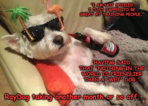 "You Still There???" | “I AM NOT SPOILED I JUST HAPPEN TO BE GREAT AT TRAINING PEOPLE.”; HAVING SAID THAT “NOTHING IN THE WORLD IS FRIENDLIER THAN A 'WET' DOG.”; RayDog taking another month or so off... | image tagged in raydog,vacation,drunk | made w/ Imgflip meme maker