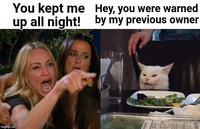Woman Yelling At Cat Meme | You kept me up all night! Hey, you were warned by my previous owner | image tagged in memes,woman yelling at cat | made w/ Imgflip meme maker