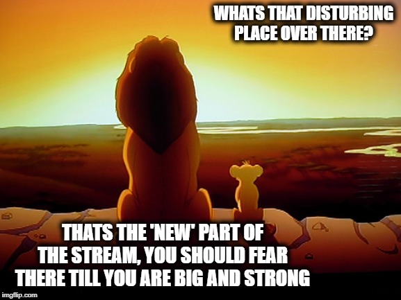 You have to admit | WHATS THAT DISTURBING PLACE OVER THERE? THATS THE 'NEW' PART OF THE STREAM, YOU SHOULD FEAR THERE TILL YOU ARE BIG AND STRONG | image tagged in memes,lion king,imgflip,meme stream,fun | made w/ Imgflip meme maker