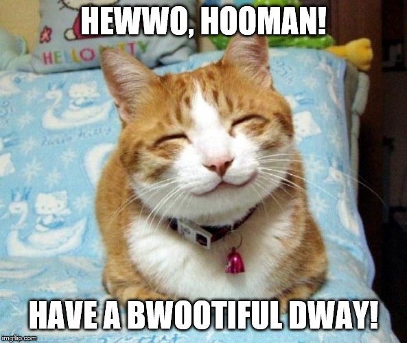 Cute Smiling Cat | HEWWO, HOOMAN! HAVE A BWOOTIFUL DWAY! | image tagged in cute smiling cat | made w/ Imgflip meme maker