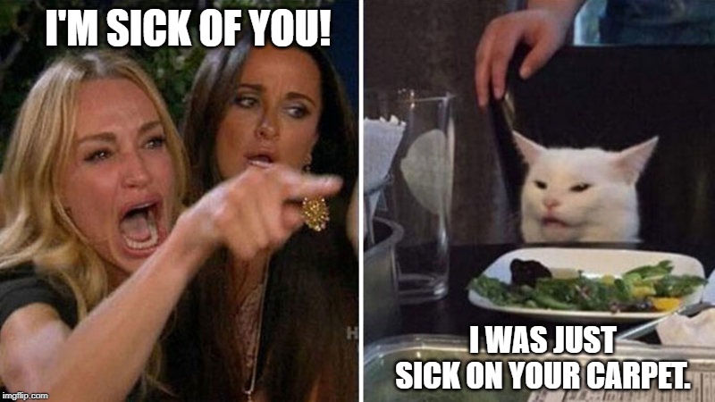 Sick of the Cat | I'M SICK OF YOU! I WAS JUST SICK ON YOUR CARPET. | image tagged in sick on carpet,sick of you | made w/ Imgflip meme maker