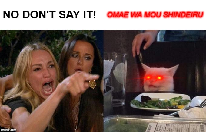Woman Yelling At Cat | NO DON'T SAY IT! OMAE WA MOU SHINDEIRU | image tagged in memes,woman yelling at cat | made w/ Imgflip meme maker