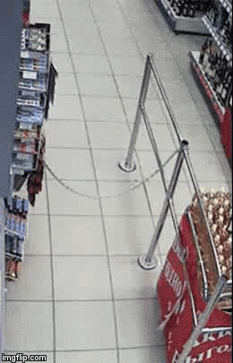 dumb ass | YOU HAVE FAILED DUMB ASS!!! | image tagged in gifs | made w/ Imgflip video-to-gif maker