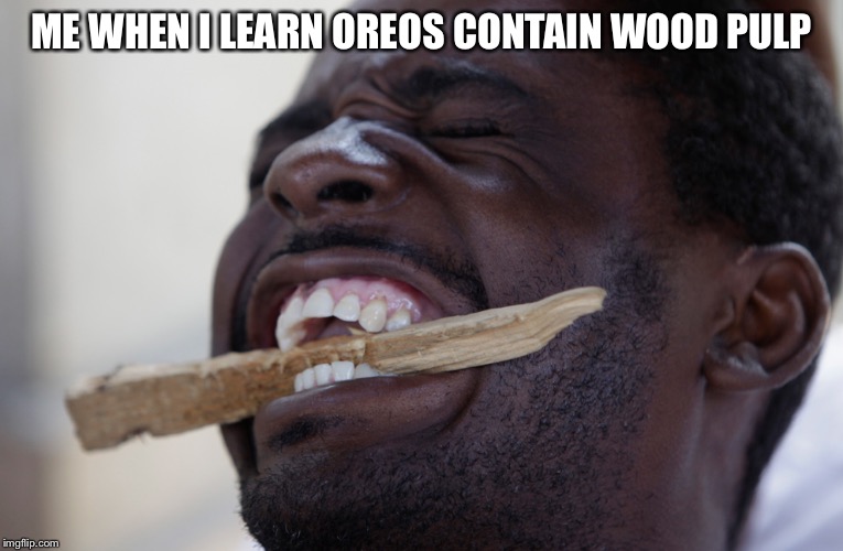 ME WHEN I LEARN OREOS CONTAIN WOOD PULP | image tagged in wood,eating | made w/ Imgflip meme maker