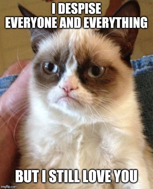 Grumpy Cat | I DESPISE EVERYONE AND EVERYTHING; BUT I STILL LOVE YOU | image tagged in memes,grumpy cat | made w/ Imgflip meme maker