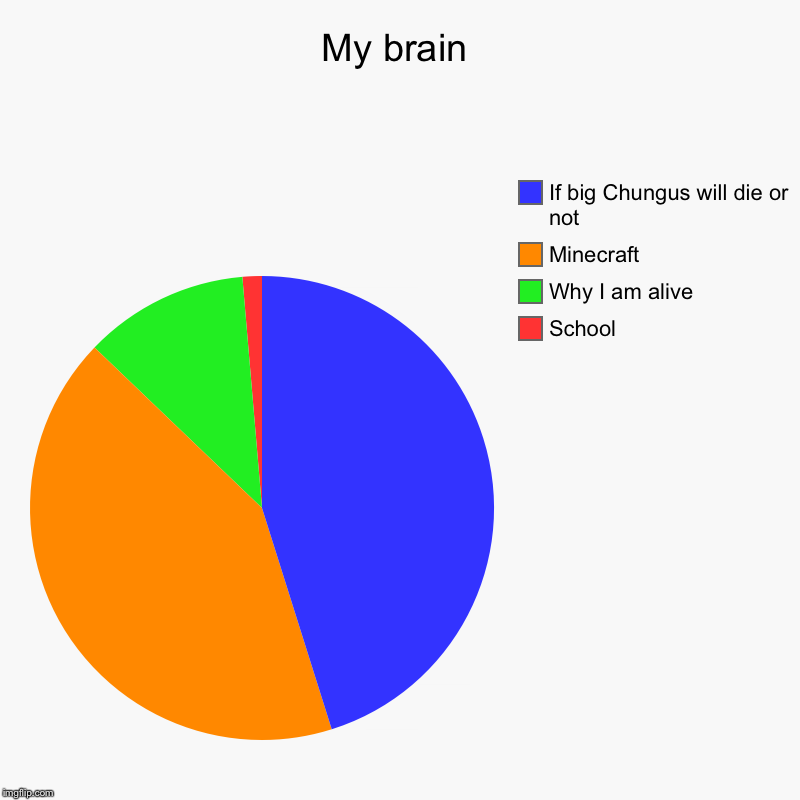 My brain | School , Why I am alive , Minecraft , If big Chungus will die or not | image tagged in charts,pie charts | made w/ Imgflip chart maker
