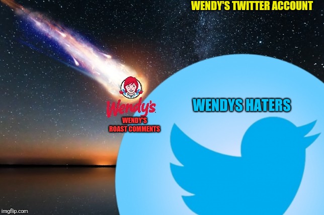 Wendy's account on twitter | WENDY'S TWITTER ACCOUNT; WENDYS HATERS; WENDY'S ROAST COMMENTS | image tagged in wendy's,twitter,roast | made w/ Imgflip meme maker