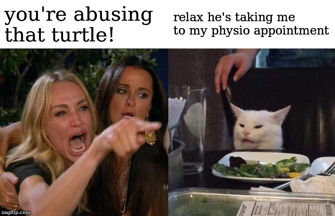 Woman Yelling At Cat | you're abusing that turtle! relax he's taking me to my physio appointment | image tagged in memes,woman yelling at cat | made w/ Imgflip meme maker