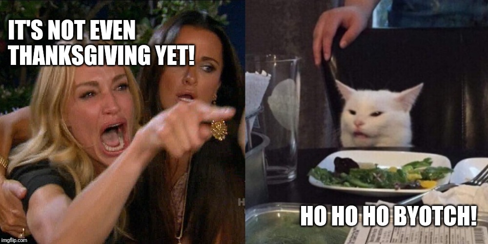 Woman yelling at cat | IT'S NOT EVEN 
THANKSGIVING YET! HO HO HO BYOTCH! | image tagged in woman yelling at cat | made w/ Imgflip meme maker