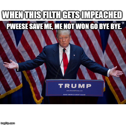 Donald Trump | WHEN THIS FILTH GETS IMPEACHED; PWEESE SAVE ME, ME NOT WON GO BYE BYE. | image tagged in donald trump,politics,funny | made w/ Imgflip meme maker