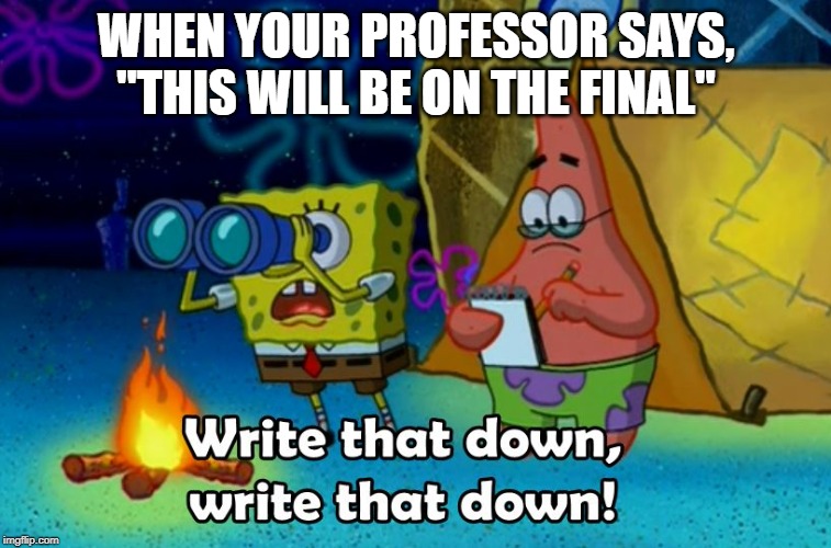 write that down | WHEN YOUR PROFESSOR SAYS, "THIS WILL BE ON THE FINAL" | image tagged in write that down | made w/ Imgflip meme maker
