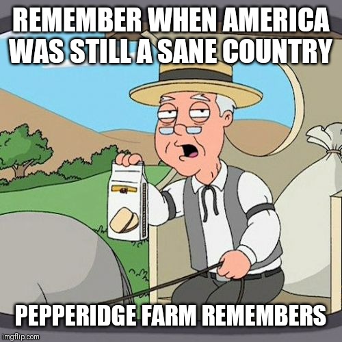 Pepperidge Farm Remembers | REMEMBER WHEN AMERICA WAS STILL A SANE COUNTRY; PEPPERIDGE FARM REMEMBERS | image tagged in memes,pepperidge farm remembers | made w/ Imgflip meme maker