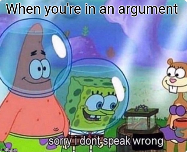 Sorry I don't speak wrong | When you're in an argument | image tagged in sorry i don't speak wrong | made w/ Imgflip meme maker