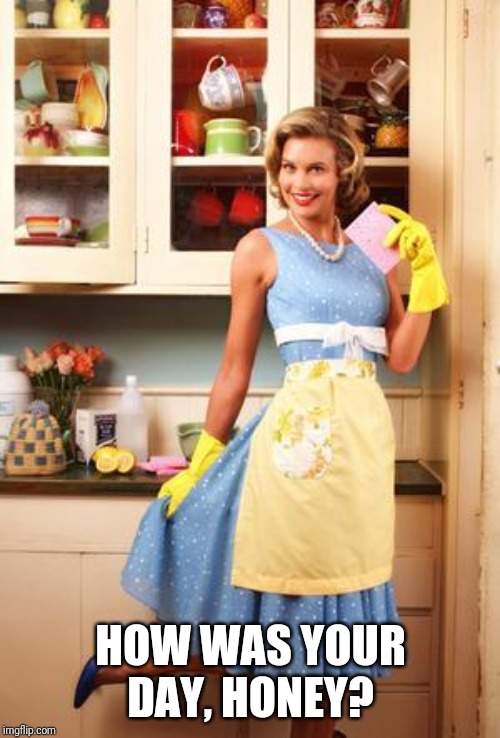 Happy House Wife | HOW WAS YOUR DAY, HONEY? | image tagged in happy house wife | made w/ Imgflip meme maker