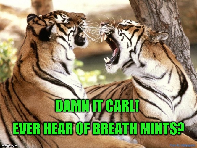 My favorite breath mint? Garlic | DAMN IT CARL! EVER HEAR OF BREATH MINTS? | image tagged in just a joke | made w/ Imgflip meme maker