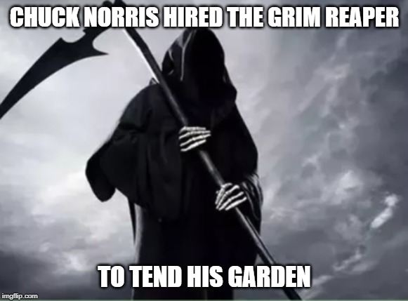 Chuck Norris Grim Reaper | CHUCK NORRIS HIRED THE GRIM REAPER; TO TEND HIS GARDEN | image tagged in chuck norris,memes,grim reaper | made w/ Imgflip meme maker