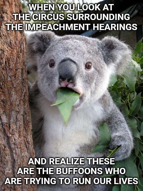 Surprised Koala Meme | WHEN YOU LOOK AT THE CIRCUS SURROUNDING THE IMPEACHMENT HEARINGS; AND REALIZE THESE ARE THE BUFFOONS WHO ARE TRYING TO RUN OUR LIVES | image tagged in memes,surprised koala | made w/ Imgflip meme maker