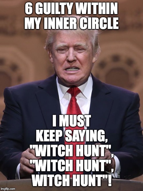 Donald Trump | 6 GUILTY WITHIN MY INNER CIRCLE; I MUST KEEP SAYING, "WITCH HUNT", "WITCH HUNT", WITCH HUNT"! | image tagged in donald trump | made w/ Imgflip meme maker