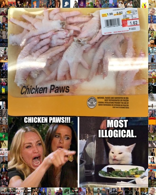 MOST ILLOGICAL. CHICKEN PAWS!!! | image tagged in smudge the cat | made w/ Imgflip meme maker