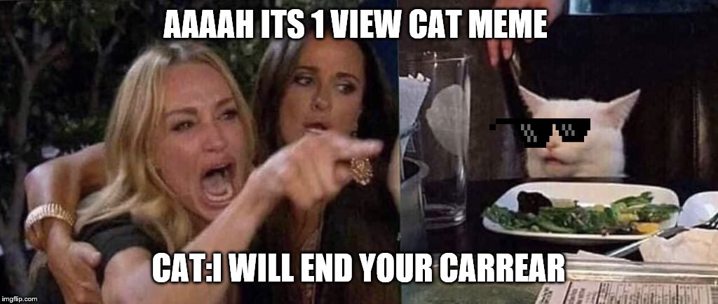 woman yelling at cat | AAAAH ITS 1 VIEW CAT MEME; CAT:I WILL END YOUR CARREAR | image tagged in woman yelling at cat | made w/ Imgflip meme maker