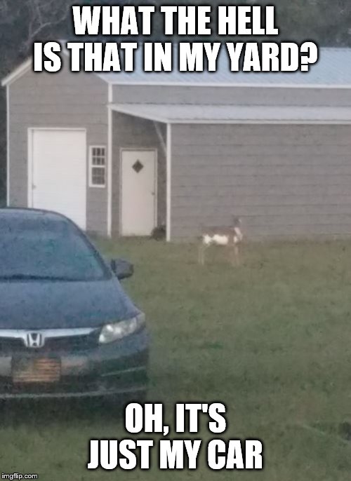 My Yard | WHAT THE HELL IS THAT IN MY YARD? OH, IT'S JUST MY CAR | image tagged in ight imma head out | made w/ Imgflip meme maker