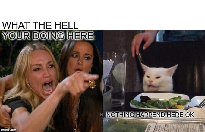 Woman Yelling At Cat | WHAT THE HELL YOUR DOING HERE; NOTHING HAPPEND HERE OK | image tagged in memes,woman yelling at cat | made w/ Imgflip meme maker