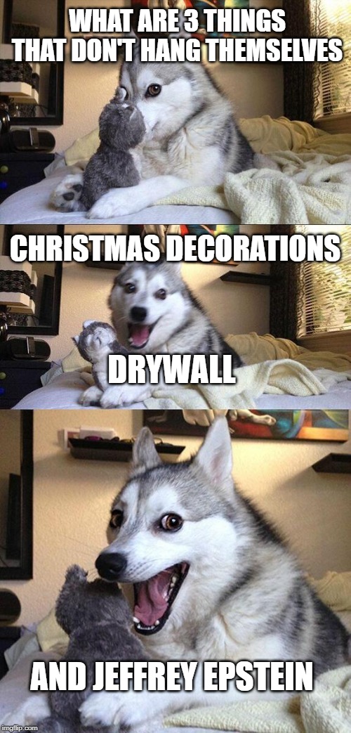 Bad Pun Dog | WHAT ARE 3 THINGS THAT DON'T HANG THEMSELVES; CHRISTMAS DECORATIONS; DRYWALL; AND JEFFREY EPSTEIN | image tagged in memes,bad pun dog | made w/ Imgflip meme maker