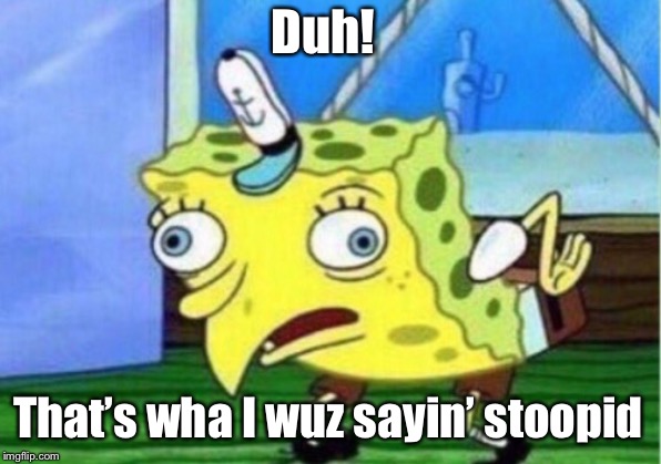 Mocking Spongebob | Duh! That’s wha I wuz sayin’ stoopid | image tagged in memes,mocking spongebob | made w/ Imgflip meme maker