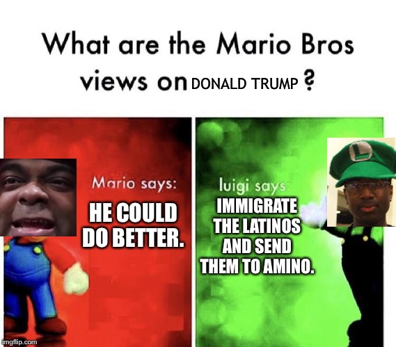 What Are The Mario Bros. Views On Donald Trump? | DONALD TRUMP; IMMIGRATE THE LATINOS AND SEND THEM TO AMINO. HE COULD DO BETTER. | image tagged in mario bros views | made w/ Imgflip meme maker