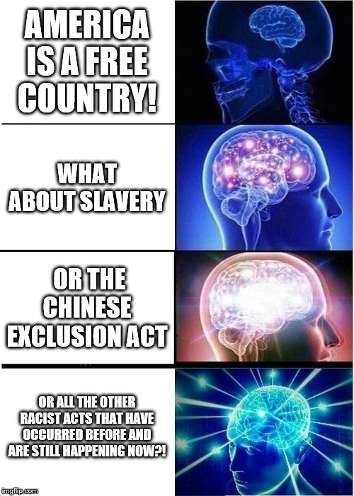 Expanding Brain | AMERICA IS A FREE COUNTRY! WHAT ABOUT SLAVERY; OR THE CHINESE EXCLUSION ACT; OR ALL THE OTHER RACIST ACTS THAT HAVE OCCURRED BEFORE AND ARE STILL HAPPENING NOW?! | image tagged in memes,expanding brain | made w/ Imgflip meme maker