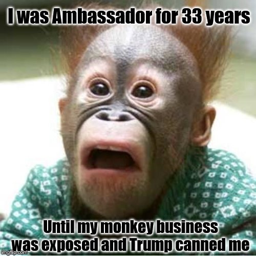 Hurt Monkeyanovitch | I was Ambassador for 33 years; Until my monkey business was exposed and Trump canned me | image tagged in scared monkey,memes,politicall memes | made w/ Imgflip meme maker