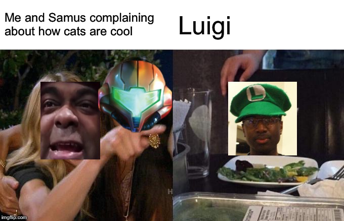 To support my claim that cats are cool and dogs are not | Me and Samus complaining about how cats are cool; Luigi | image tagged in memes,woman yelling at cat | made w/ Imgflip meme maker