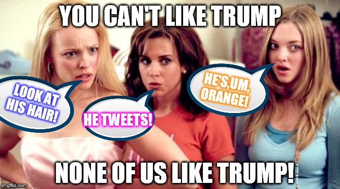 Democrats-Like a case of the "Mean Girls" High School Bullies. | YOU CAN'T LIKE TRUMP; HE'S,UM, ORANGE! LOOK AT HIS HAIR! HE TWEETS! NONE OF US LIKE TRUMP! | image tagged in mean girls shocked,memes,political lol | made w/ Imgflip meme maker