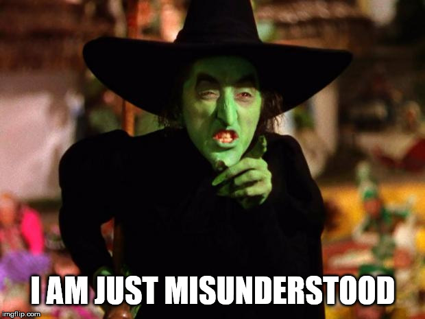 wicked witch  | I AM JUST MISUNDERSTOOD | image tagged in wicked witch | made w/ Imgflip meme maker