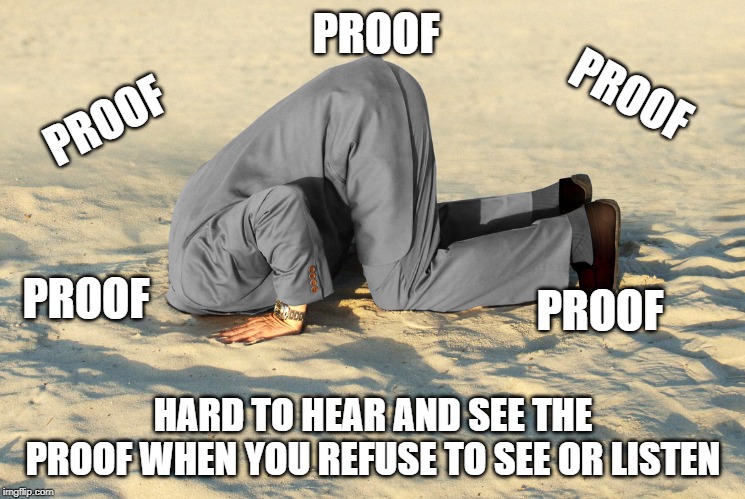 head in sand | PROOF; PROOF; PROOF; PROOF; PROOF; HARD TO HEAR AND SEE THE PROOF WHEN YOU REFUSE TO SEE OR LISTEN | image tagged in head in sand | made w/ Imgflip meme maker