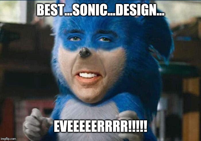 Nicolas Cage Sonic | BEST...SONIC...DESIGN... EVEEEEERRRR!!!!! | image tagged in nicolas cage sonic | made w/ Imgflip meme maker
