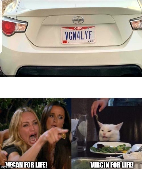 VEGAN FOR LIFE!                                    VIRGIN FOR LIFE! | image tagged in memes,woman yelling at cat | made w/ Imgflip meme maker