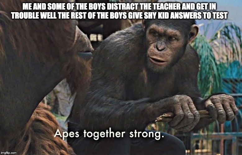 Apes Together Strong | ME AND SOME OF THE BOYS DISTRACT THE TEACHER AND GET IN TROUBLE WELL THE REST OF THE BOYS GIVE SHY KID ANSWERS TO TEST | image tagged in apes together strong | made w/ Imgflip meme maker