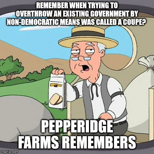 Pepperidge Farm Remembers Meme | REMEMBER WHEN TRYING TO OVERTHROW AN EXISTING GOVERNMENT BY NON-DEMOCRATIC MEANS WAS CALLED A COUPE? PEPPERIDGE FARMS REMEMBERS | image tagged in memes,pepperidge farm remembers | made w/ Imgflip meme maker